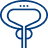 Prostate & Bladder Health